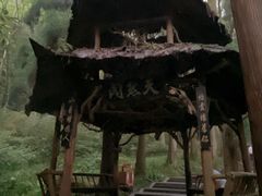 -青城山