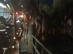 -清迈夜间动物园