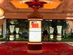 -拉斯维加斯永利酒店