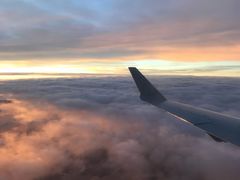 -达拉斯 沃斯堡国际机场