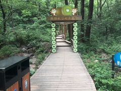 -大岭沟猕猴桃谷风景区