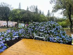 -苏州上方山国家森林公园