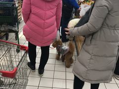 -大润发(衢州店)