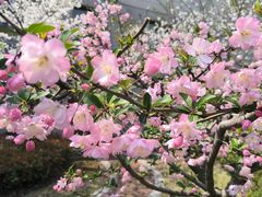 -上海财经大学(国定路校区)