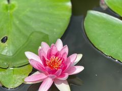 -昆明市金殿名胜区