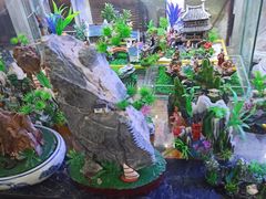 -万商花鸟市场