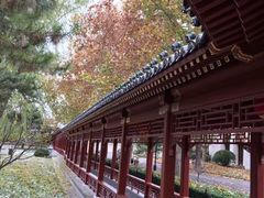 -钓鱼台国宾馆