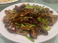 -枫林饺子
