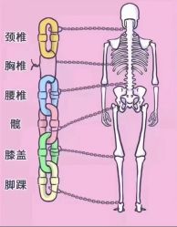 -AN普拉提女子健身工作室