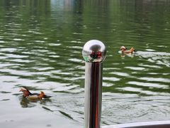 -朝阳公园