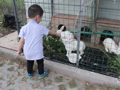 -上海崇明金茂凯悦酒店