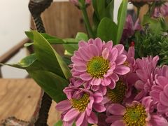 -威克特披萨汉堡