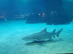 -常州海昌海洋探索馆