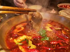 小龙坎毛肚-小龙坎火锅(双林店)