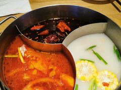 -青瓷火锅料理(西单大悦城店)