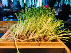 -凤园椰珍·臻品椰子鸡(保利时光里店)