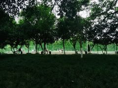 -塔子山公园