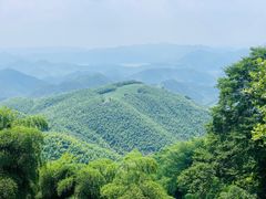 -莫干山风景区