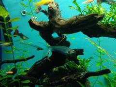 -多彩贵州城极地海洋世界