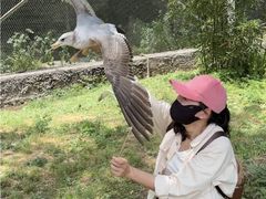 -杭州野生动物世界