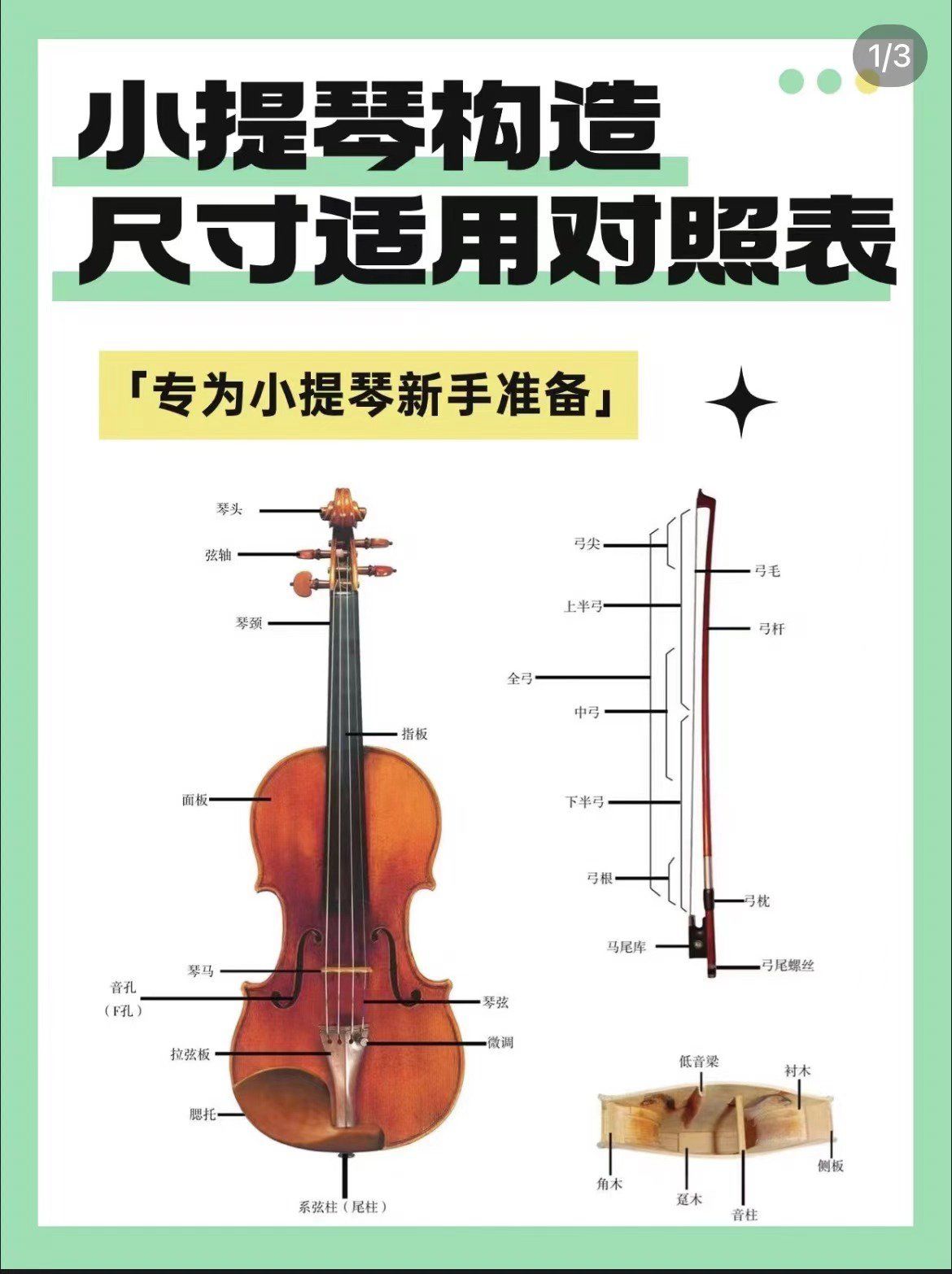 三张图带你了解一下小提琴构造和尺寸适用‼️