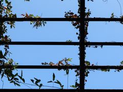 -南沙蒲洲花园