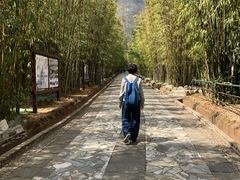 -蝴蝶泉公园