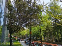 -上海明天广场JW万豪酒店