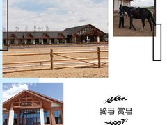 -中国马镇舞马世界主题乐园