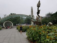 -南山植物园
