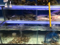 -盒马鲜生(联投广场店)