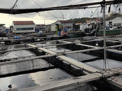 -蓝湾碧波·老字号·疍家非遗海上餐厅