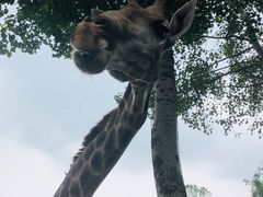 -大连森林动物园