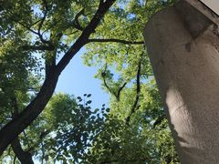 -湖北美术学院(昙华林校区)