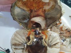 -乡乐园蟹庄·阳澄湖农家乐