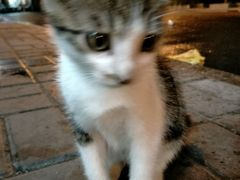 -富侨养生(康乾店)