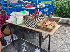 -蒲河大集