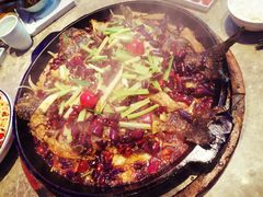 -老板恋上鱼(恒隆广场店)