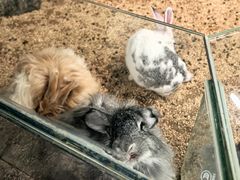 -正佳雨林生态植物园