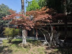 -包公祠