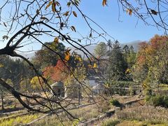 -塔川景区