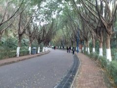 -滴水岩森林公园
