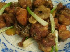蚝油干逼鸡-腰记饭店(龙源路店)