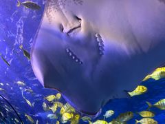 -太平洋海底世界