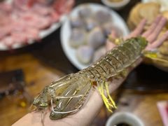 -凯华海鲜火锅·传承三十六年