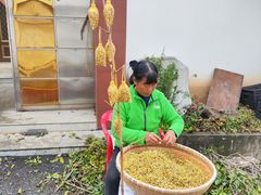 -苏州市吴中区光福窑上花果蜜饯厂