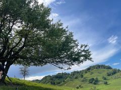 -关山草原