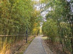 -中国浦东干部学院