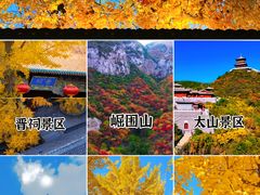 -迎泽公园