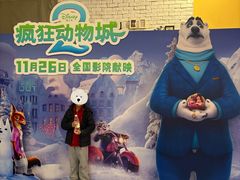 -华谊兄弟影院(IMAX洋桥店)